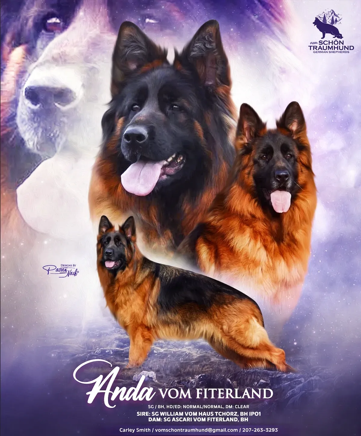 Anda